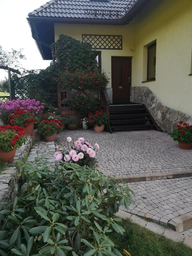 Wichrowe Wzgorze Villa Stronie Śląskie Екстериор снимка