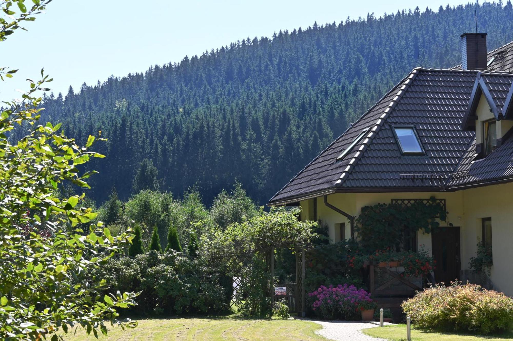 Wichrowe Wzgorze Villa Stronie Śląskie Екстериор снимка