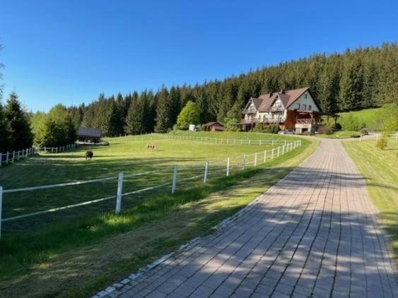 Wichrowe Wzgorze Villa Stronie Śląskie Екстериор снимка