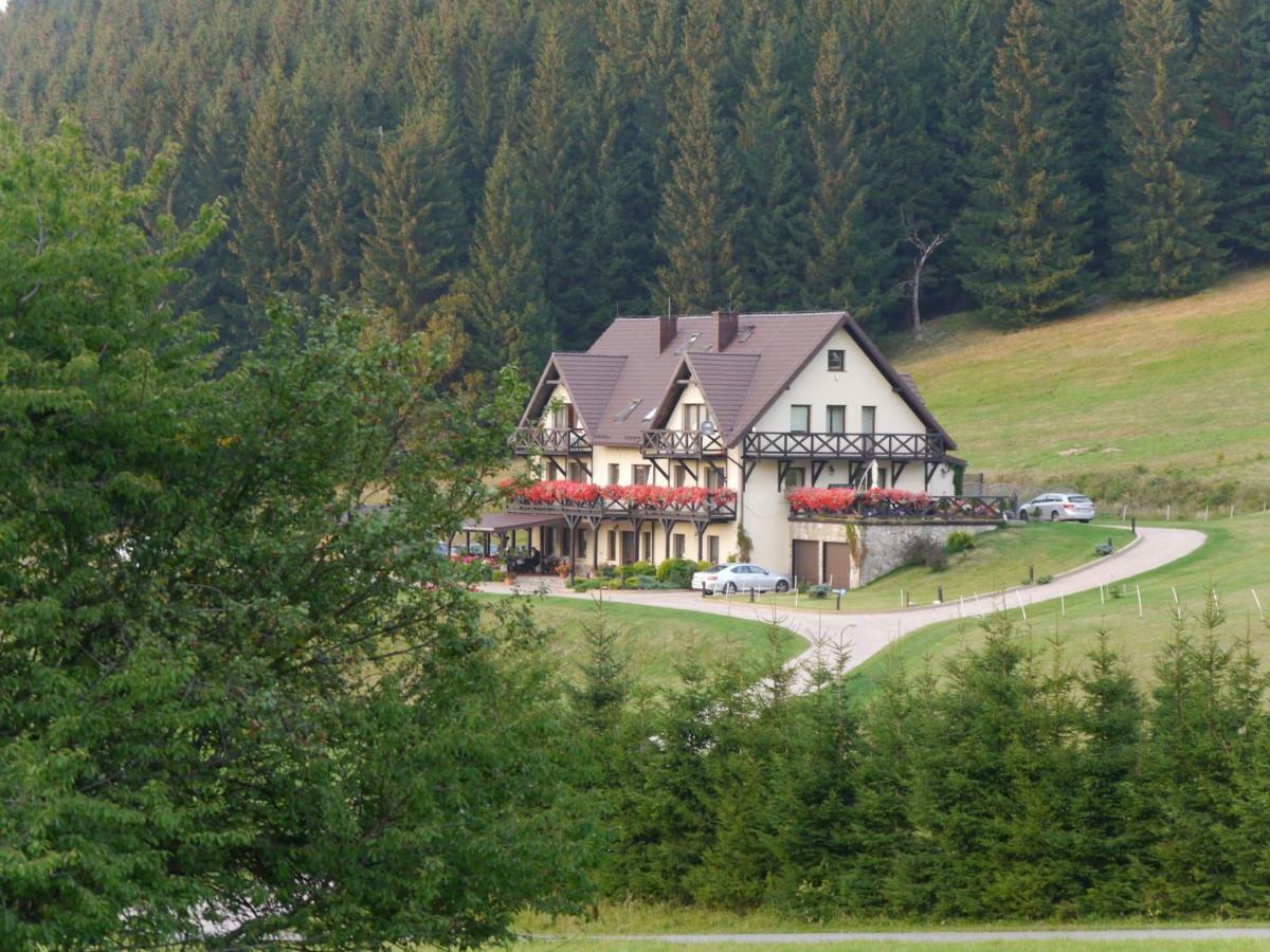 Wichrowe Wzgorze Villa Stronie Śląskie Екстериор снимка